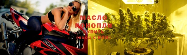 прущие грибы Нязепетровск
