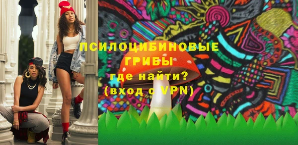 дживик Новодвинск