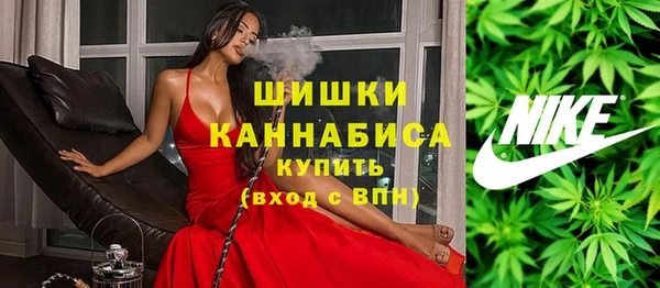 каннабис Новозыбков
