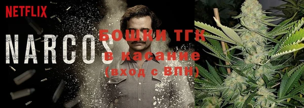 каннабис Новозыбков