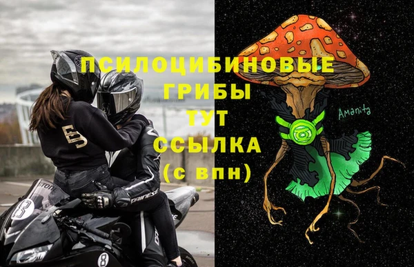 прущие грибы Нязепетровск