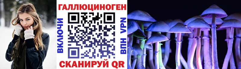 Галлюциногенные грибы прущие грибы  наркошоп  Тулун 