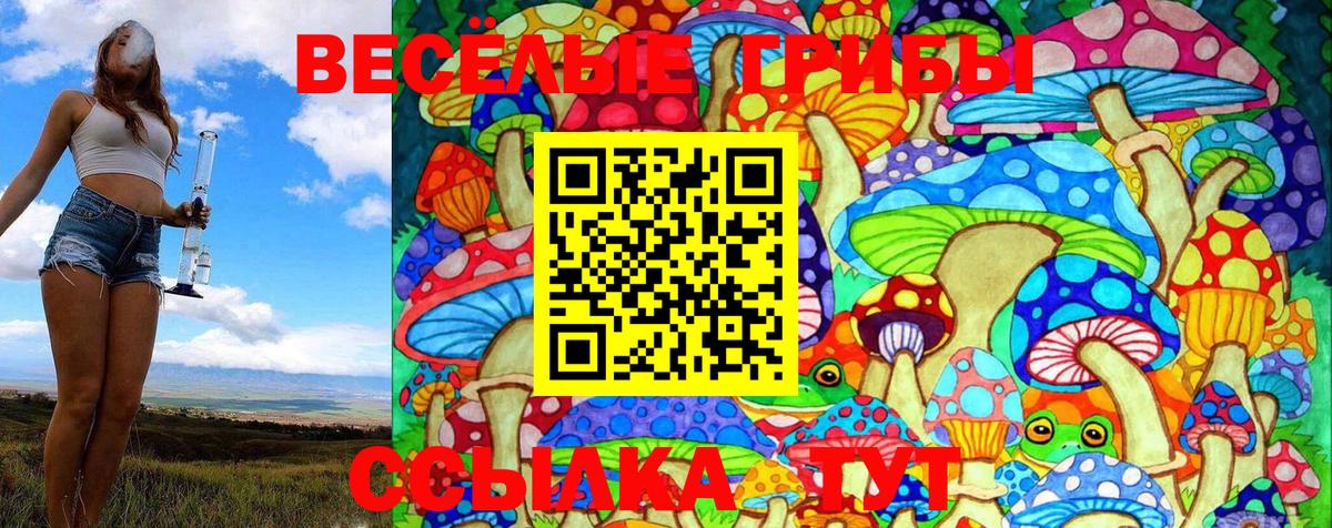 Тулун  Псилоцибиновые грибы MAGIC MUSHROOMS  Вход с VPN 